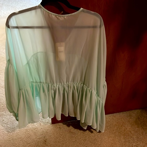 Anthropologie Let Me Be Sheer Babydoll Blouse (size M) (color Mint) - Picture 8 of 8